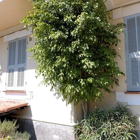 Amelia Алассіо